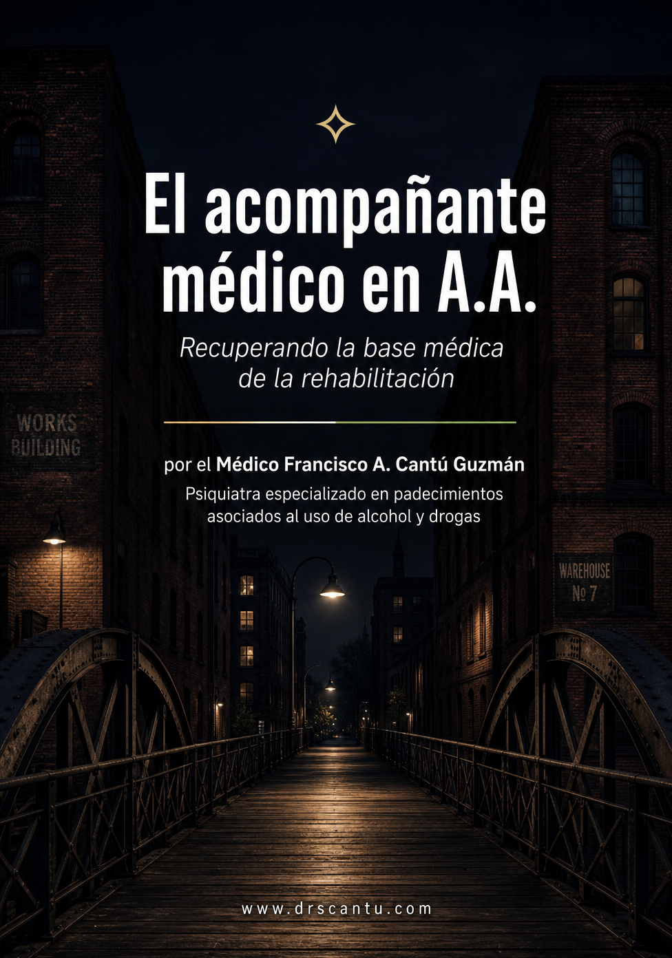 Portada del libro El acompañante médico en A.A.